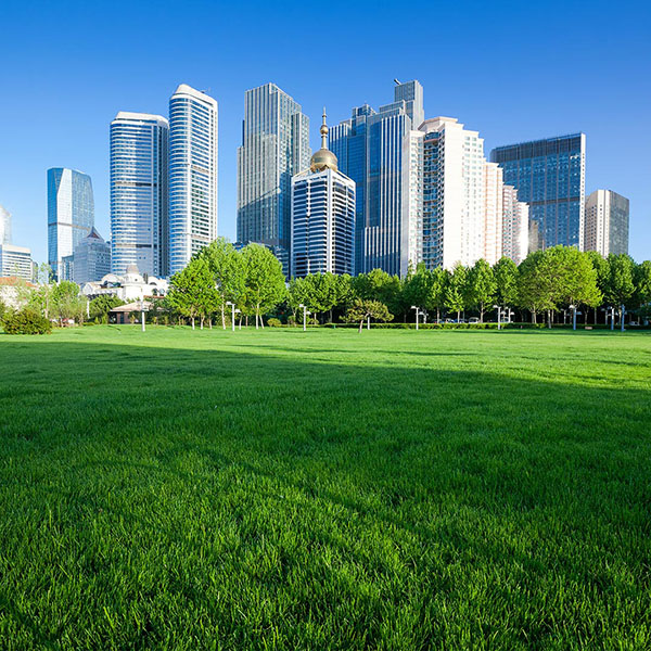 Qingdao