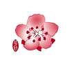 China Airlines